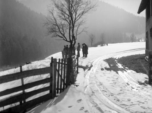 Landessammlungen Niederösterreich