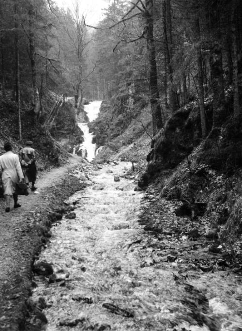 Landessammlungen Niederösterreich