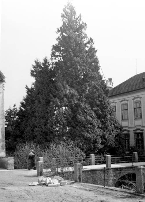 Landessammlungen Niederösterreich