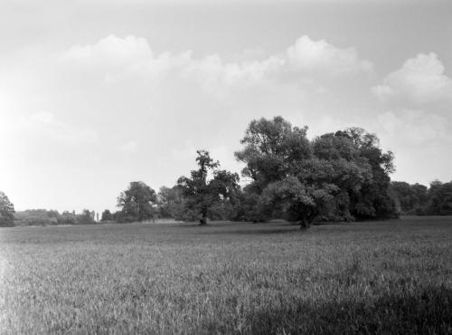 Landessammlungen Niederösterreich