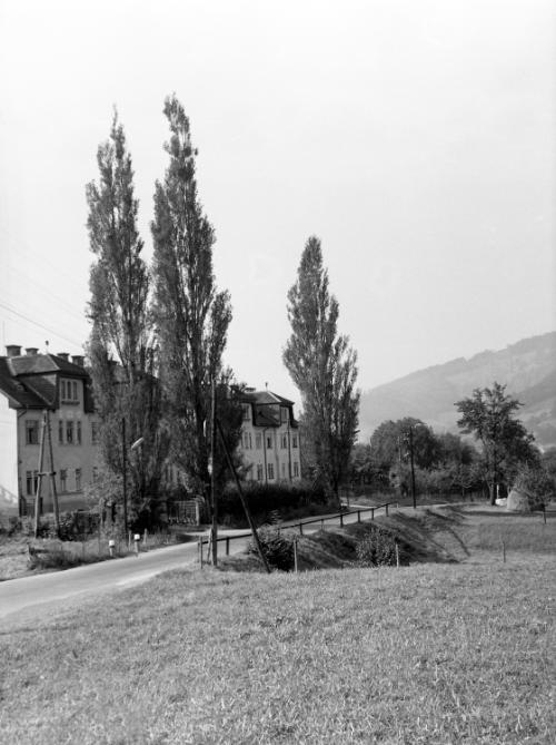 Landessammlungen Niederösterreich