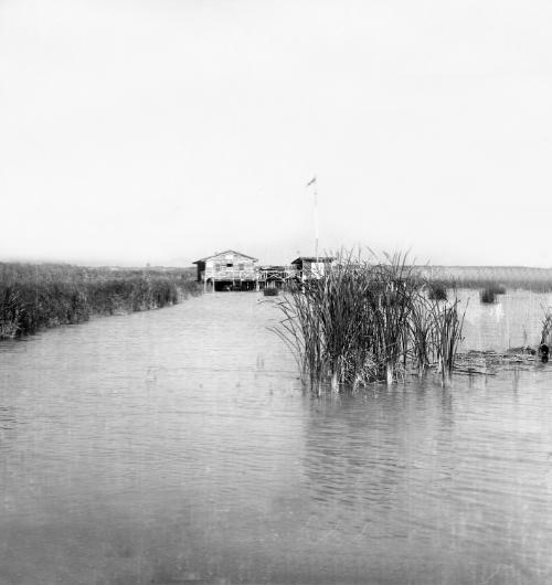 Landessammlungen Niederösterreich