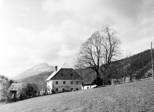 Landessammlungen Niederösterreich