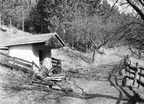 Landessammlungen Niederösterreich