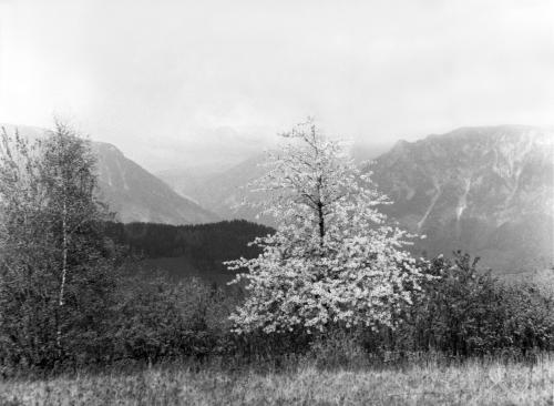 Landessammlungen Niederösterreich