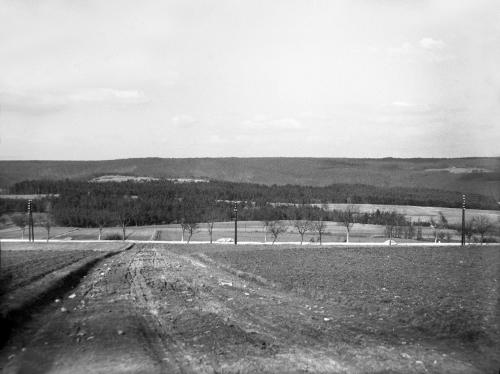 Landessammlungen Niederösterreich