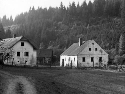 Landessammlungen Niederösterreich