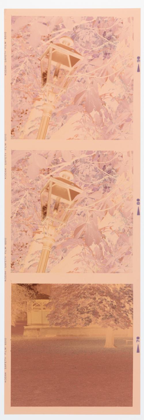 Landessammlungen Niederösterreich