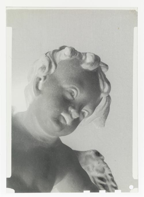 Landessammlungen Niederösterreich