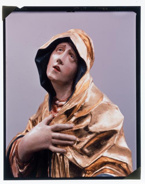 Landessammlungen Niederösterreich