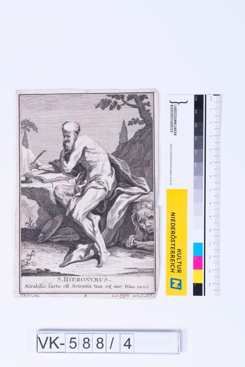 Landessammlungen Niederösterreich