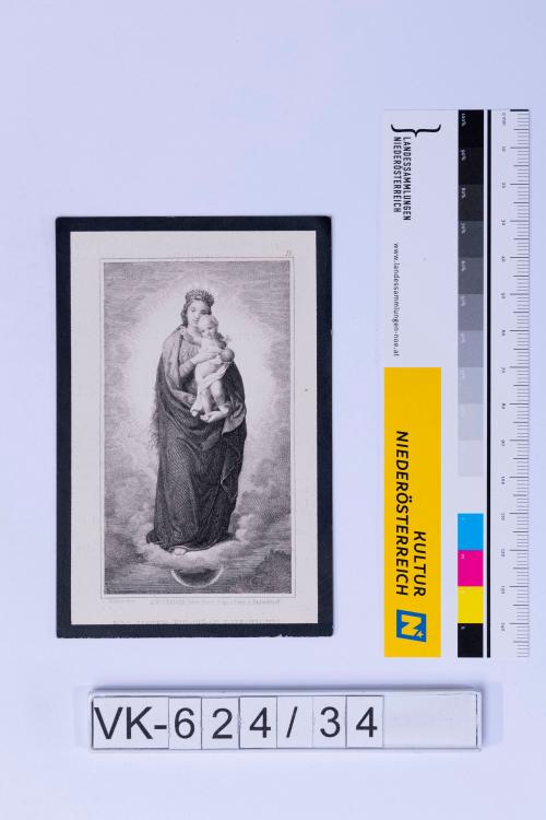 Landessammlungen Niederösterreich