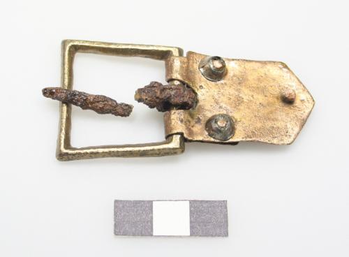 Landessammlungen Niederösterreich