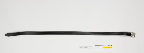 Landessammlungen Niederösterreich