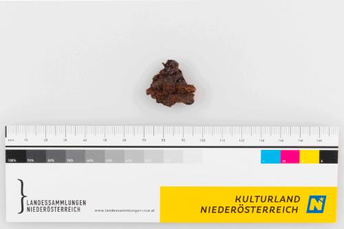 © Landessammlungen Niederösterreich