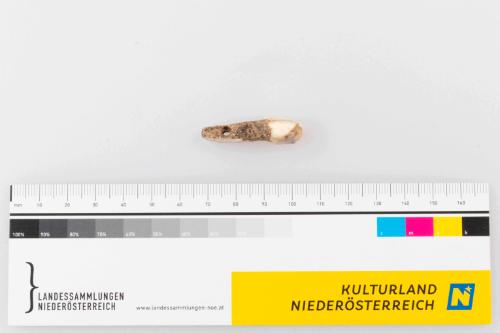 © Landessammlungen Niederösterreich