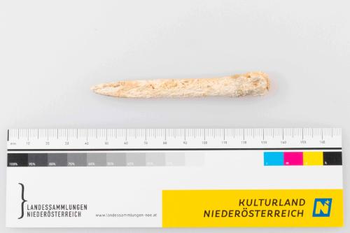 © Landessammlungen Niederösterreich
