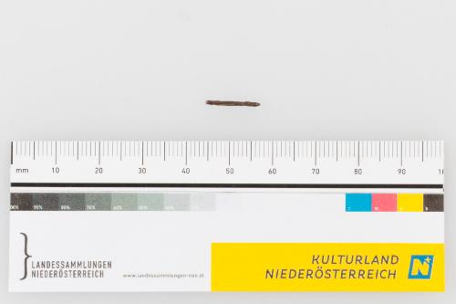© Landessammlungen Niederösterreich