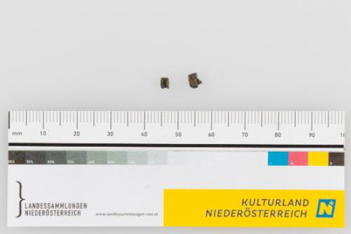 © Landessammlungen Niederösterreich