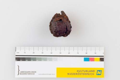 © Landessammlungen Niederösterreich