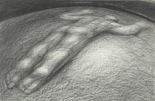 Landessammlungen NÖ