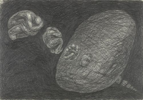 Landessammlungen NÖ