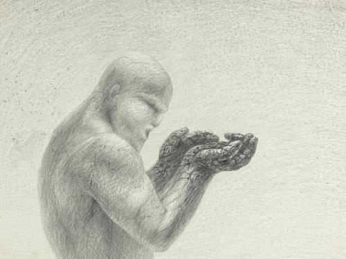 Landessammlungen NÖ