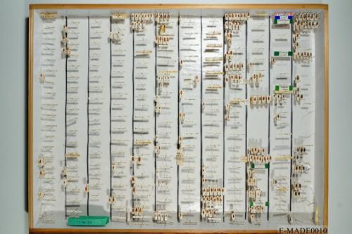 © Landessammlungen NÖ, Foto: Johann Nesweda