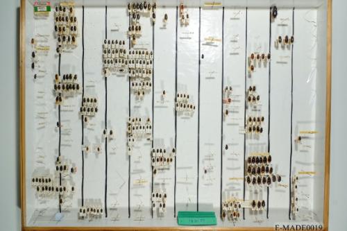 © Landessammlungen NÖ, Foto: Johann Nesweda