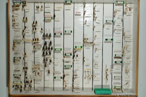 © Landessammlungen NÖ, Foto: Johann Nesweda