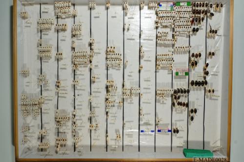 © Landessammlungen NÖ, Foto: Johann Nesweda