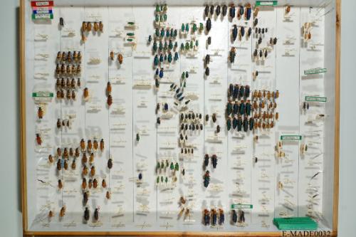 © Landessammlungen NÖ, Foto: Johann Nesweda