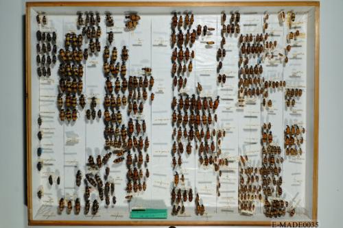 © Landessammlungen NÖ, Foto: Johann Nesweda