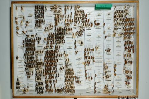 © Landessammlungen NÖ, Foto: Johann Nesweda