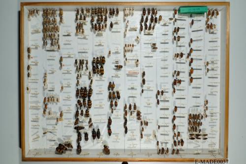 © Landessammlungen NÖ, Foto: Johann Nesweda