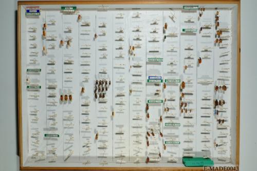 © Landessammlungen NÖ, Foto: Johann Nesweda