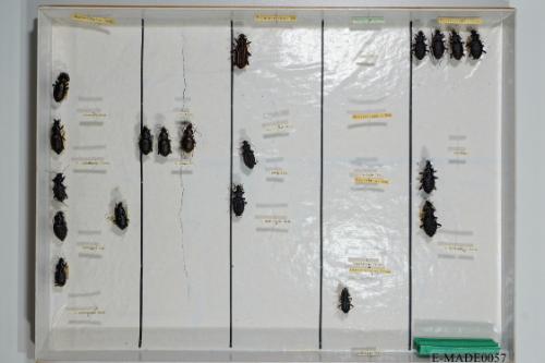 © Landessammlungen NÖ, Foto: Johann Nesweda