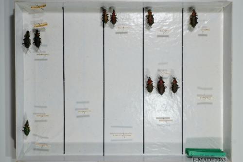 © Landessammlungen NÖ, Foto: Johann Nesweda