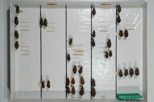 © Landessammlungen NÖ, Foto: Johann Nesweda