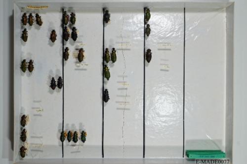 © Landessammlungen NÖ, Foto: Johann Nesweda