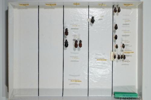 © Landessammlungen NÖ, Foto: Johann Nesweda