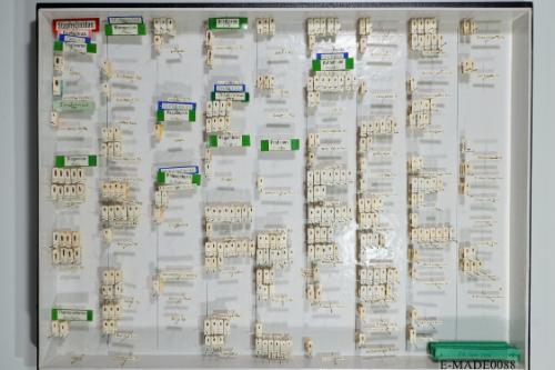 © Landessammlungen NÖ, Foto: Johann Nesweda