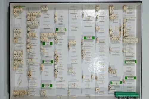 © Landessammlungen NÖ, Foto: Johann Nesweda