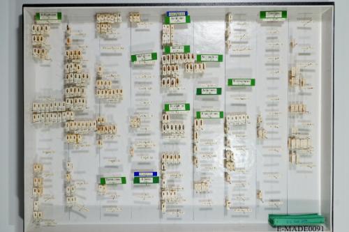 © Landessammlungen NÖ, Foto: Johann Nesweda