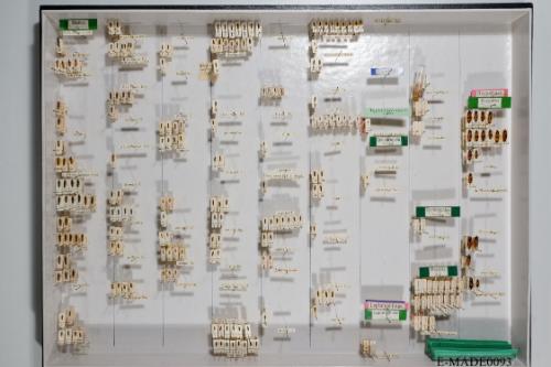 © Landessammlungen NÖ, Foto: Johann Nesweda