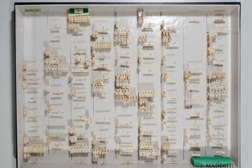 © Landessammlungen NÖ, Foto: Johann Nesweda