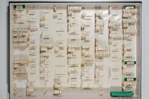 © Landessammlungen NÖ, Foto: Johann Nesweda