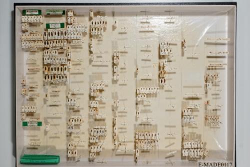 © Landessammlungen NÖ, Foto: Johann Nesweda