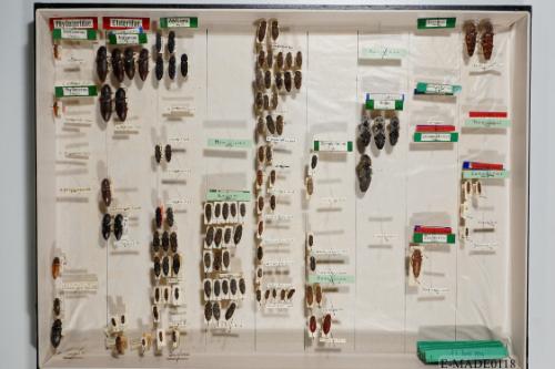 © Landessammlungen NÖ, Foto: Johann Nesweda