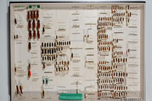 © Landessammlungen NÖ, Foto: Johann Nesweda